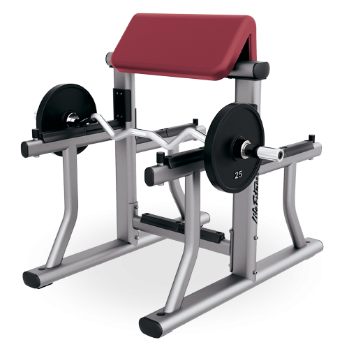 Arm Curl Bench