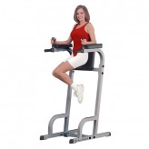 Vertical Knee Raise and Dip Station